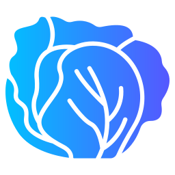 Cabbage icon