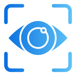 vision icon