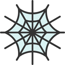 Spider web icon