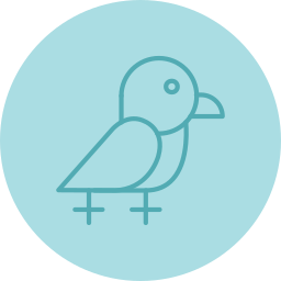 Crow icon