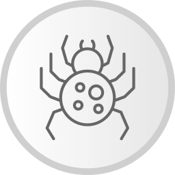 Spider icon