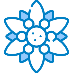 Edelweiss icon