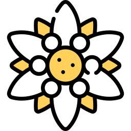 Эдельвейс иконка