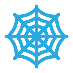 Spider web icon