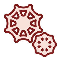 spinnennetz icon