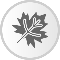 Dry leaves icon