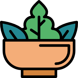 Salad icon