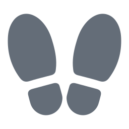 Footprint icon