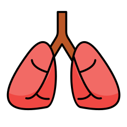 pulmões Ícone
