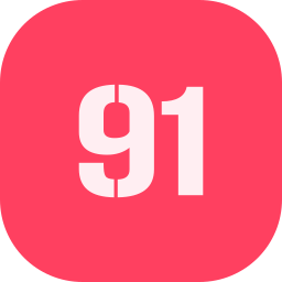 91 Ícone