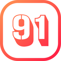 91 icon