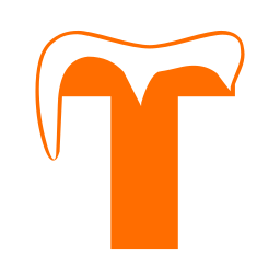 Letter t icon