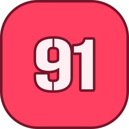 91 Ícone