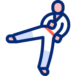 Taekwondo icon