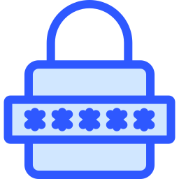 Password icon