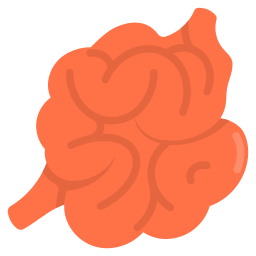 Small intestine icon