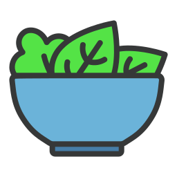 Salad icon