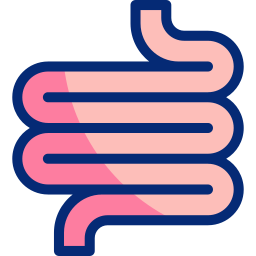 intestino Ícone