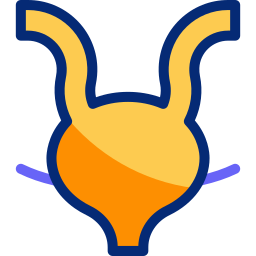 방광 icon