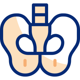 Pelvis icon