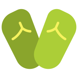 Flipflops icon