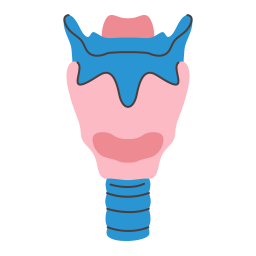Larynx icon