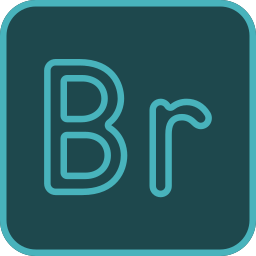 BR icon