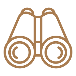 Binocular icon