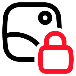 Privacy icon