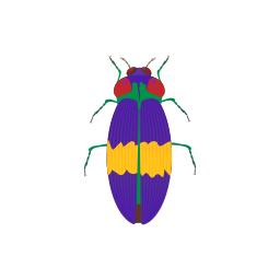 Beetle icon