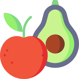 Healthy food icon