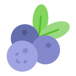 Blueberry icon