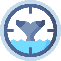 Whale watching icon