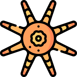 estrella de mar sol icono