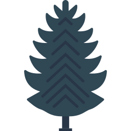 immergrüner baum icon