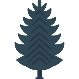 arbre à feuilles persistantes Icône