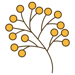 acacia icono