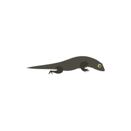 Amphibia icon