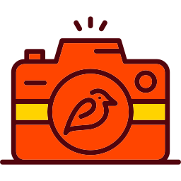 Camera icon