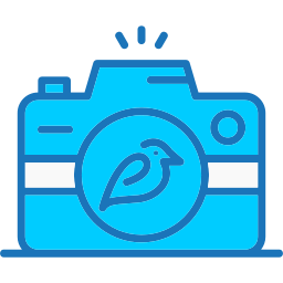 Camera icon