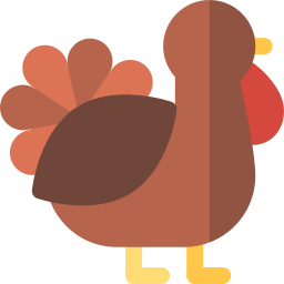 Turkey icon