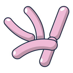 coli ikona
