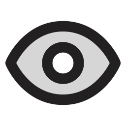 Visibility icon