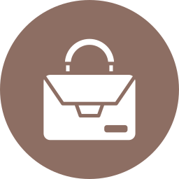 Camera bag icon