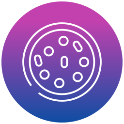 zelle icon