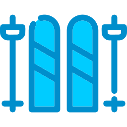 Skis icon