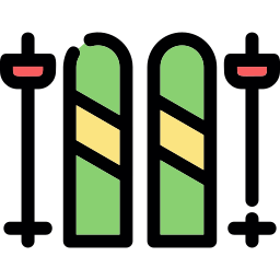 Skis icon