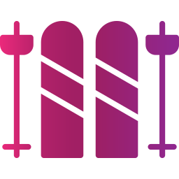 skier icon