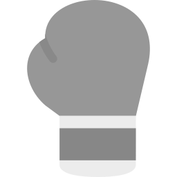 boxhandschuh icon