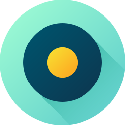 Vinyl disc icon